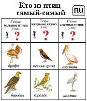 Кто из птиц самый-самый (RU)