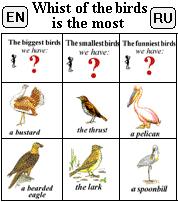 Whist of the birds is the most (ЕN-RU)