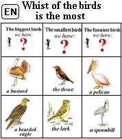 Whist of the birds is the most (ЕN)